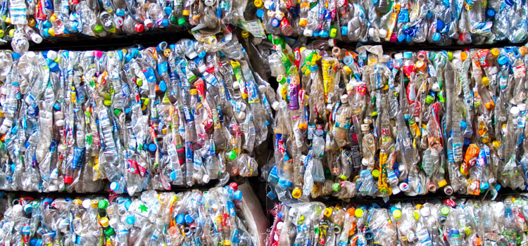 Deep Dive Into the Latest Recycling Survey: The Upshots You Haven’t Heard Yet